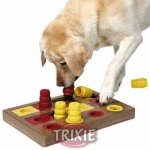 Intelligenzspiele