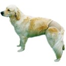 Trixie Schutzhöschen, beige M: 40-49 cm