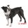 Puppia Hunde- Softgeschirr PATRIAL schwarz