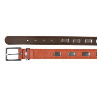Bovini Halsband, mit Beschlägen, 36-42 cm/ 20mm breit