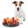Dog Activity Strategiespiel Mini Solitär