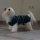 Chillcoat Hundebademantel by SuperFur Dogs dunkel-grau