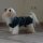 Chillcoat Hundebademantel by SuperFur Dogs dunkel-grau