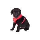 Doggy Geschirr GOOD DOG rot S: 39-53 cm / Hals ca. 27 cm