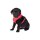 Doggy Geschirr GOOD DOG rot S: 39-53 cm / Hals ca. 27 cm