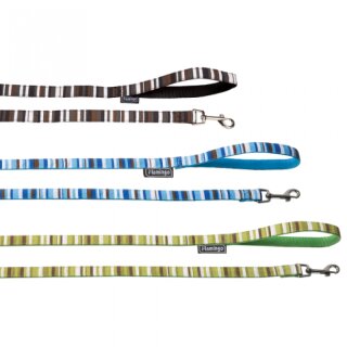 Leine Nylon Sparta grün-gestreift M: 120 x 2 cm