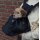 Doogy soft Carry Bag black