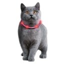 Visio light Schlauchhalsband für Katzen 35 cm
