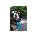 Highwave Auto Dog Mug Trinkflasche 590 ml blue