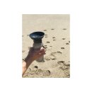Highwave Auto Dog Mug Trinkflasche 590 ml smoke