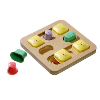 Brain Train Quadro