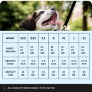 TOPMAST Hundegeschirr türkis 2XS